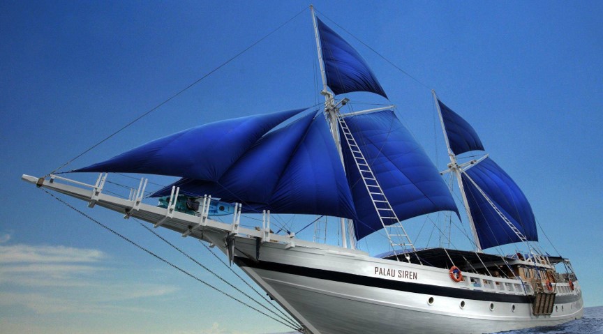 扬帆出海！Z6尊龙旗舰厅官网入口之家数字化新征程