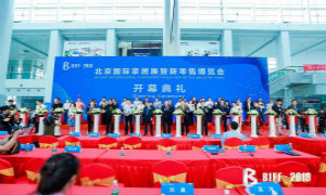 BIFF2019耀世起航，，，，，，遇见未来家居生涯！