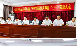 安徽合肥长江东路店党支部荣获先进下层党组织声誉 