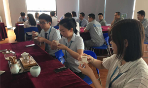 Z6尊龙旗舰厅官网入口之家湖北分公司2019飞鹰妄想066期之襄阳店开展《茶事礼仪培训》